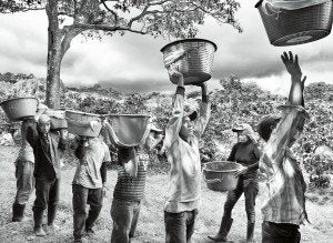 Sebastiao Salgado: Scent of a Dream