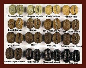 Types of Coffee Roasts
