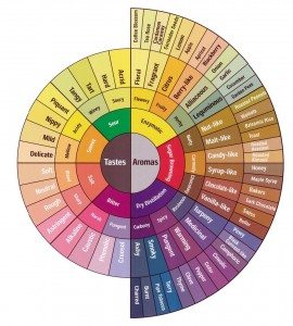 Coffee Tasting 102: The Fundamentals of Taste