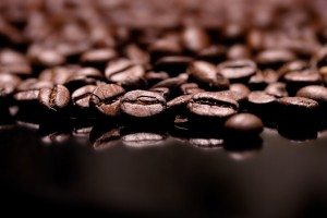 Studying Coffee in California