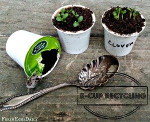 Upcycle Your K-Cups